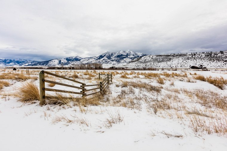 56 Yellowstone NP.jpg